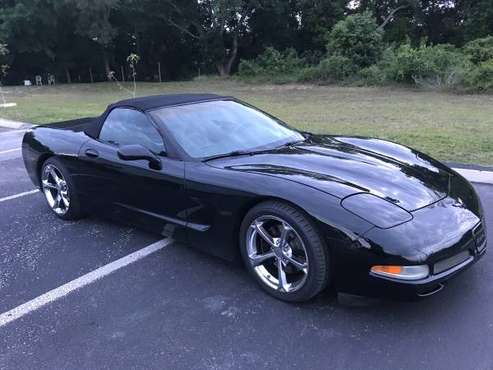 2002 Chevy Corvette for sale in Palm Harbor, FL