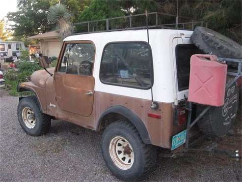 1979 Jeep CJ7 for sale in Cadillac, MI