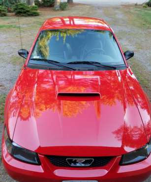 2002 Mustang GT Premium for sale in Scituate, MA