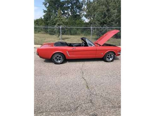 1965 Ford Mustang for sale in Cadillac, MI