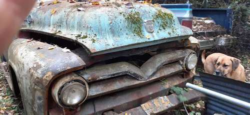 2 54/,or 53 Ford Trucks - cars & trucks - by owner - vehicle... for sale in Wolf Creek, OR