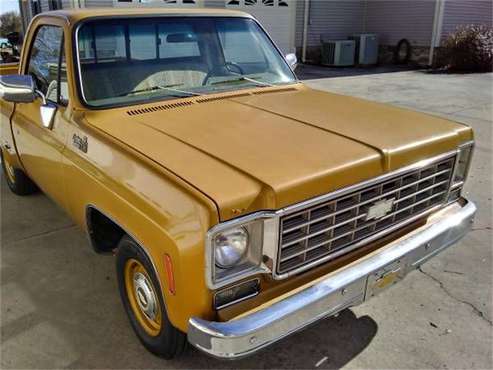 1976 Chevrolet C10 for sale in Cadillac, MI