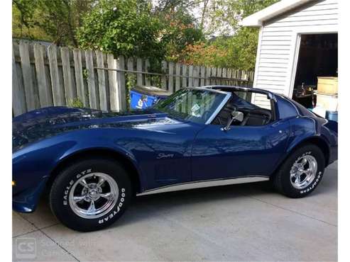 1973 Chevrolet Corvette for sale in Cadillac, MI