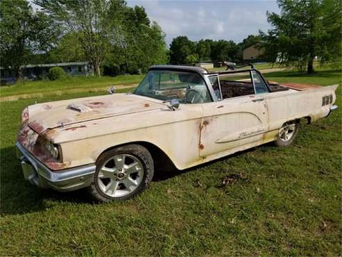 1960 Ford Thunderbird for sale in Cadillac, MI