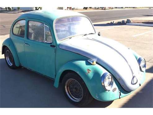 1965 Volkswagen Beetle for sale in Cadillac, MI