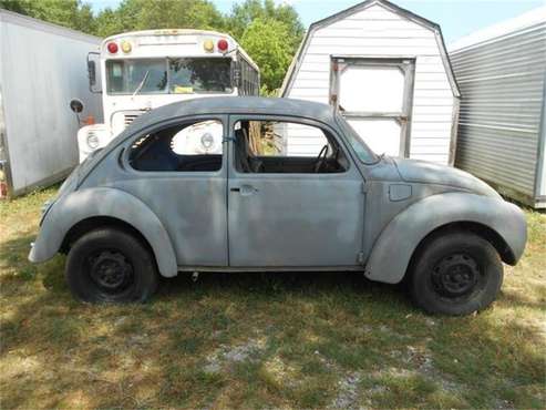 1972 Volkswagen Super Beetle for sale in Cadillac, MI