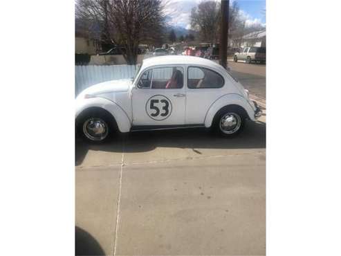 1970 Volkswagen Beetle for sale in Cadillac, MI