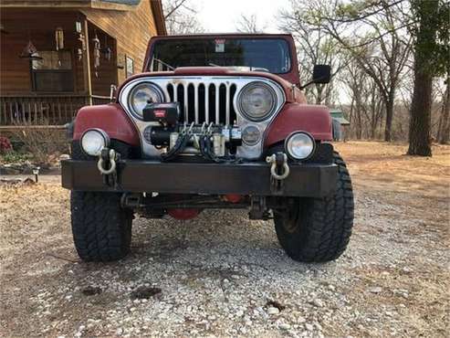 1979 Jeep CJ5 for sale in Cadillac, MI