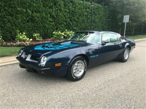 1974 Pontiac Firebird Trans Am for sale in Cadillac, MI