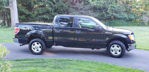 2010 Ford F-150 for sale in Moscow, PA