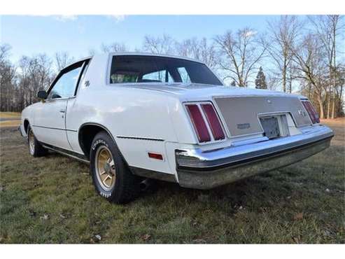 1979 Oldsmobile Hurst for sale in Cadillac, MI