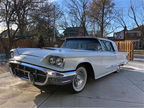 1960 Ford Thunderbird for sale in Cadillac, MI