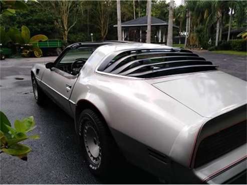 1979 Pontiac Firebird Trans Am for sale in Cadillac, MI