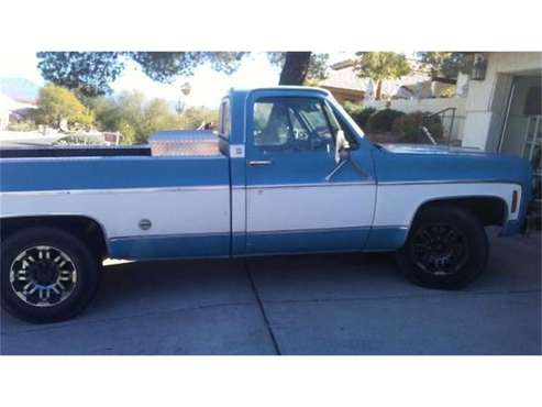 1974 Chevrolet C20 for sale in Cadillac, MI