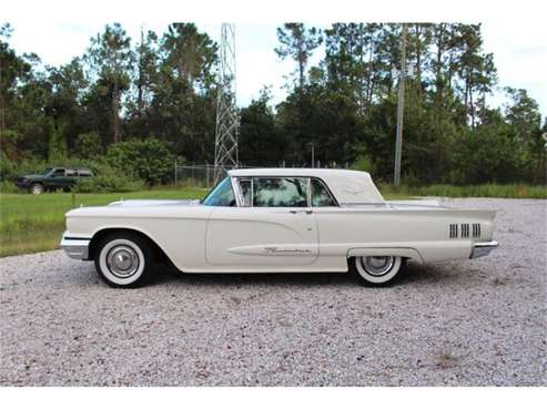 1960 Ford Thunderbird for sale in Cadillac, MI