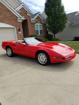 1995 Corvette Convertible for sale in Strongsville, OH