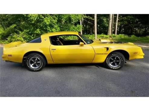 1978 Pontiac Firebird Trans Am for sale in Cadillac, MI