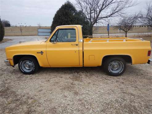 1981 Chevrolet C/K 10 for sale in Clarence, IA