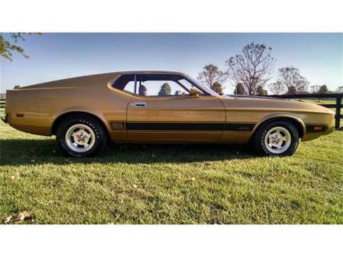 1973 Ford Mustang for sale in Cadillac, MI