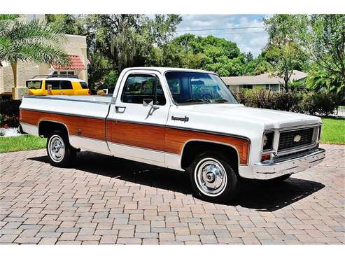 1974 Chevrolet Cheyenne for sale in Lakeland, FL