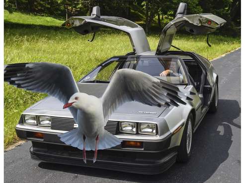 1982 DeLorean DMC-12 for sale in Greenwood, VA