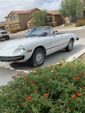 Classic Alfa Spider 1977 for sale in Tucson, AZ