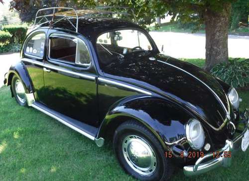 1956 Oval Window Beetle for sale in North Dartmouth, MA