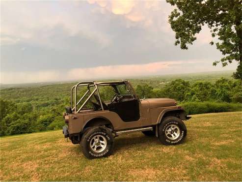 1979 Jeep CJ5 for sale in Cadillac, MI