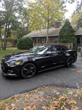 2016 Black Convertible Mustang for sale in Chatham, MA