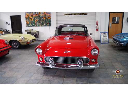 1955 Ford Thunderbird for sale in Austin, TX