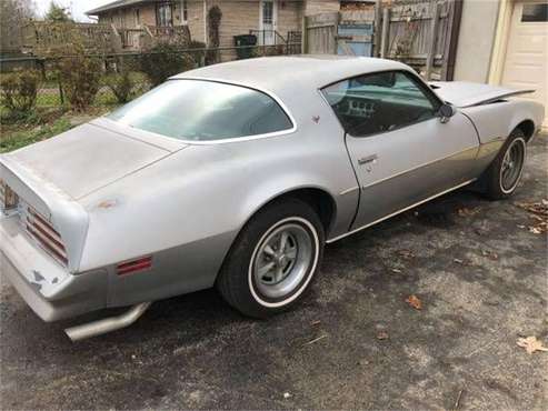 1976 Pontiac Firebird for sale in Cadillac, MI