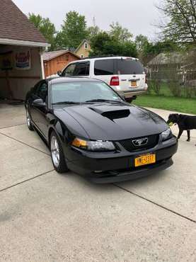 Mustang GT for sale in Lancaster, NY