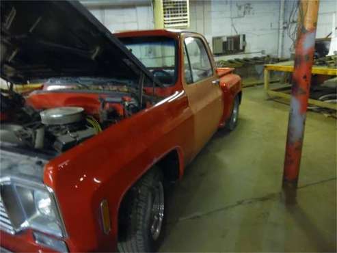 1976 Chevrolet C10 for sale in Cadillac, MI