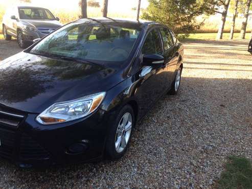 2014 Ford Focus SE for sale in Delaware, OH