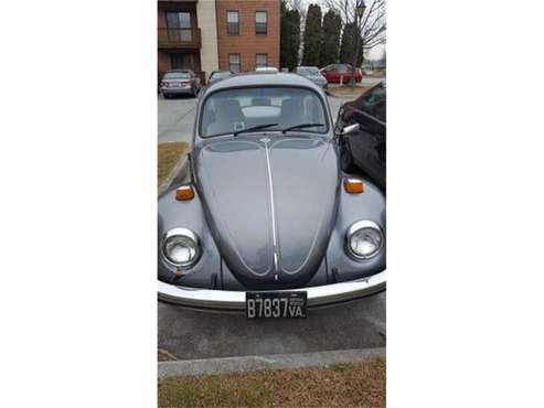 1971 Volkswagen Beetle for sale in Cadillac, MI