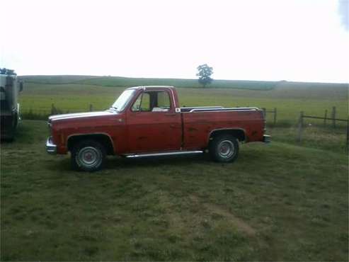 1978 Chevrolet C10 for sale in Cadillac, MI