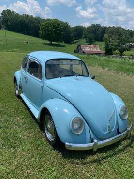1965 Volkswagen Bug for sale in Caryville, TN
