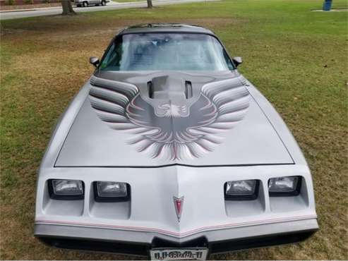 1979 Pontiac Firebird Trans Am for sale in Cadillac, MI