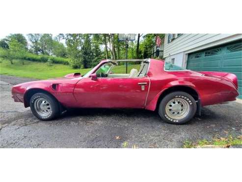 1976 Pontiac Firebird for sale in Cadillac, MI