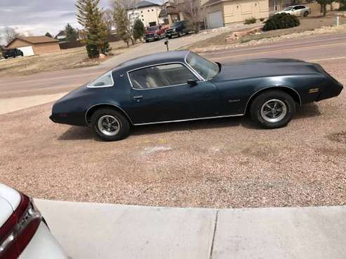 1979 Pontiac Firebird for sale in Pueblo, CO