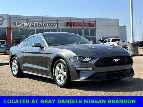2019 Ford Mustang EcoBoost Coupe RWD for sale in Brandon, MS