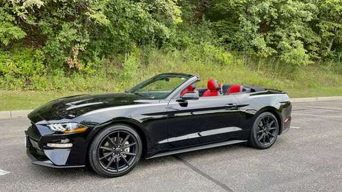 2019 Ford Mustang Ecoboost Premium convertible - - by for sale in Eden Prairie, MN