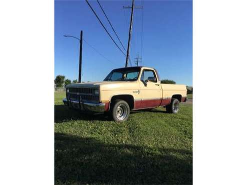 1981 Chevrolet C10 for sale in Cadillac, MI