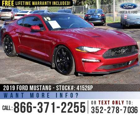 2019 FORD MUSTANG ECOBOOST Touchscreen, Apple CarPlay - cars for sale in Alachua, FL