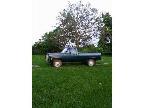 1977 Chevrolet Pickup for sale in Cadillac, MI