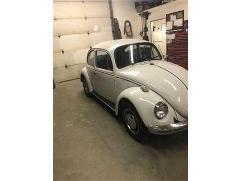 1969 Volkswagen Beetle for sale in Cadillac, MI