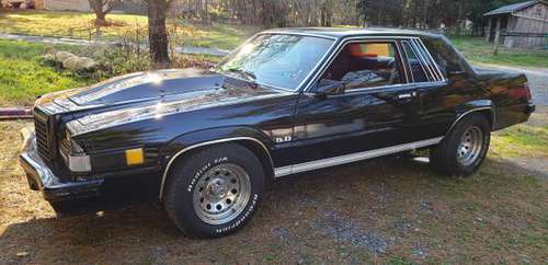 1980 Ford 302 Thunderbird muscle car for sale in Hopeland, PA
