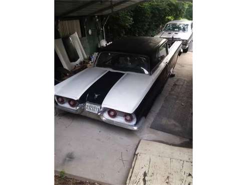 1959 Ford Thunderbird for sale in Cadillac, MI