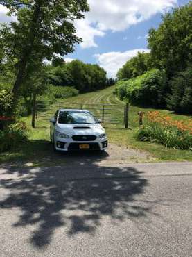 2019 Subaru WRX Premium - cars & trucks - by owner - vehicle... for sale in Billings, NY