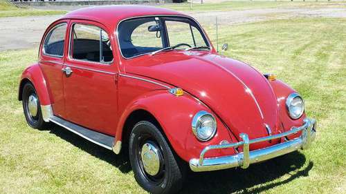 1967 Volkswagen Beetle all original "NO MARKETERS" for sale in Blaine, WA